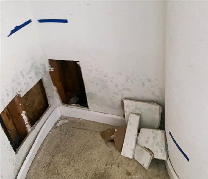 Mold infestation on a wall in a small closet.